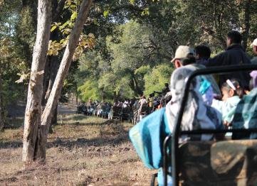 Kanha The Golden Nilgiri Jungle Resort 7